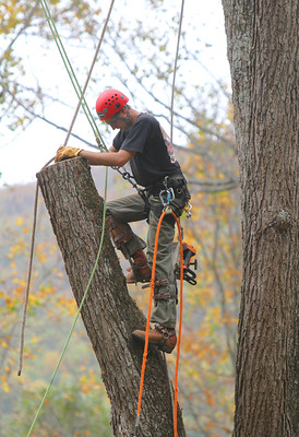 Prescott Tree Service