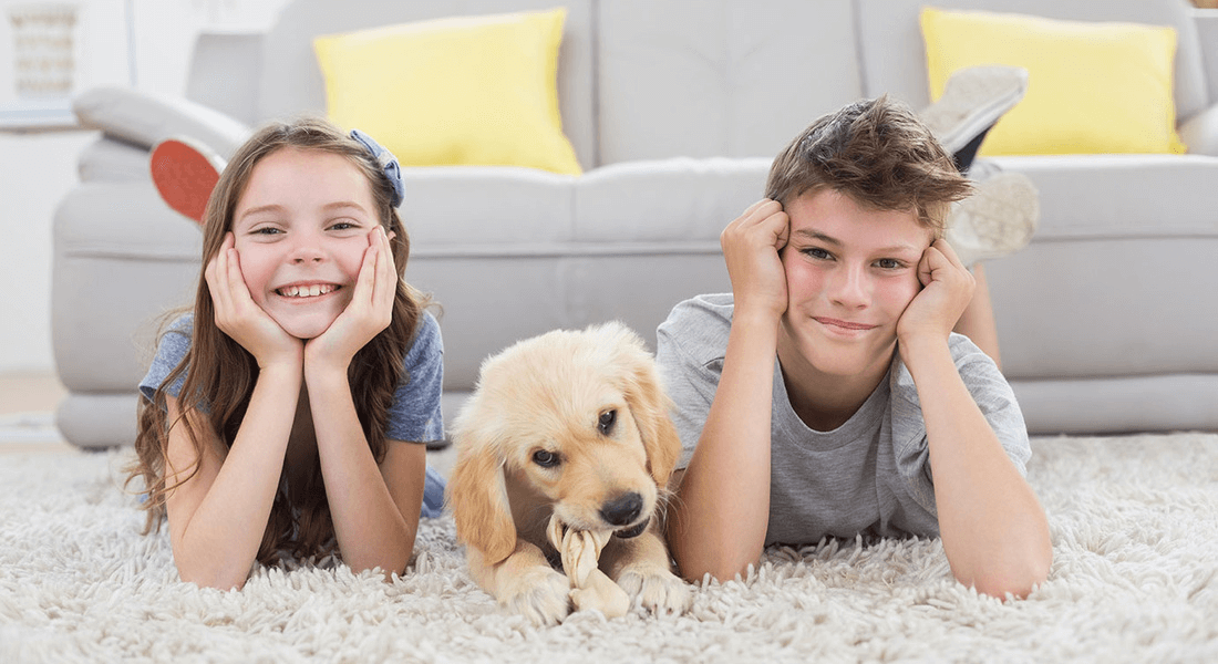 Clinton Township Carpet and Floors