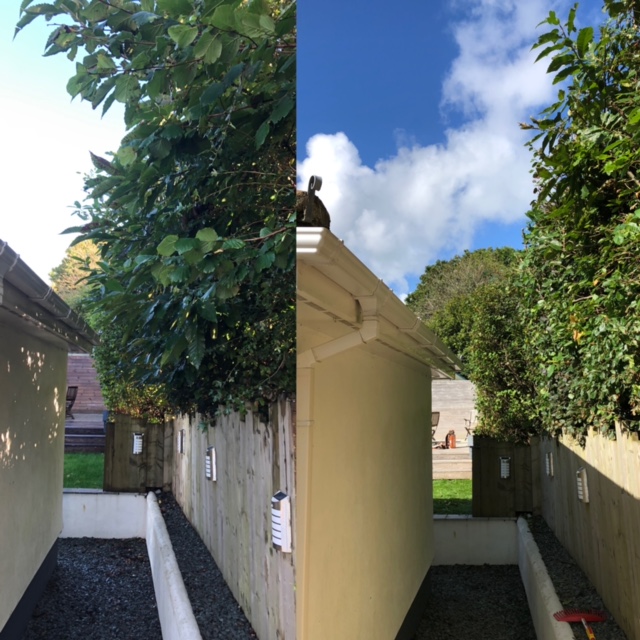 Cornish Trees & Gardens Ltd