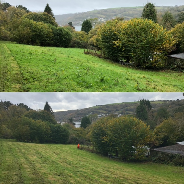 Cornish Trees & Gardens Ltd